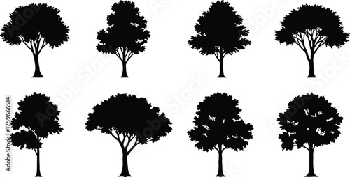 Collection of black tree silhouettes isolated on white background, vector illustration showing different deciduous tree shapes for nature and design