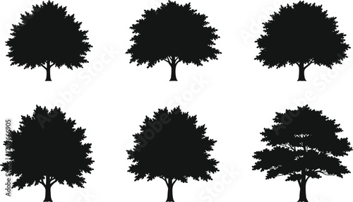 Set of black deciduous tree silhouettes isolated on white background, vector illustration for forest, park, landscape, nature, and eco design