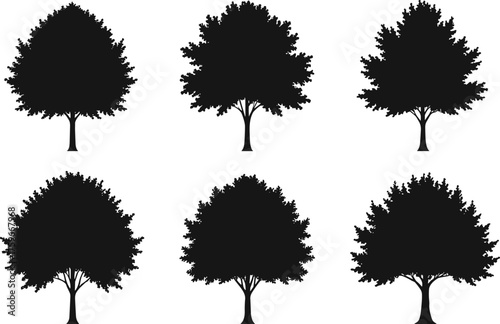 Set of black tree silhouettes isolated on white background, detailed vector illustration of natural forest trees for landscape design