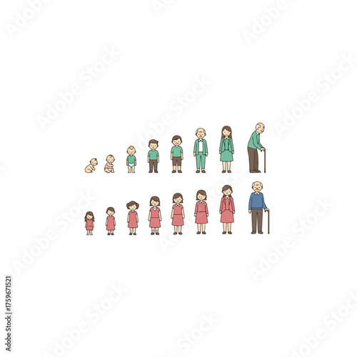 Human life cycle stages for male and female characters from infancy to old age.
