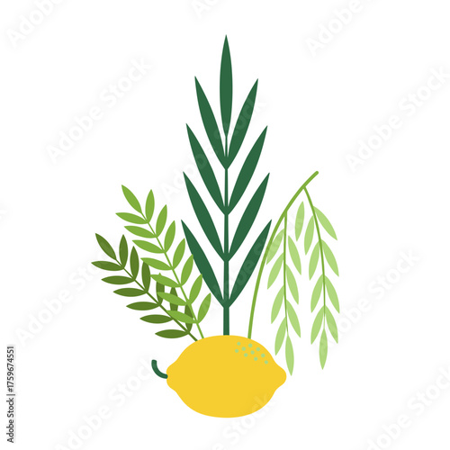 For the Jewish festival Sukkot, the four species include a palm branch, willow and myrtle leaves, and a bright yellow etrog