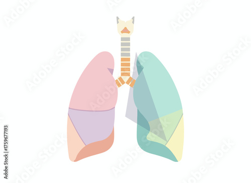 The lungs symbol represents breathing, lung exercises, and lung diseases such as cancer, asthma, tuberculosis, and pneumonia, while highlighting the respiratory system, World Tuberculosis Day, World