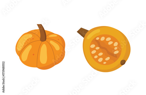 Cute orange pumpkin and half cut pumpkin