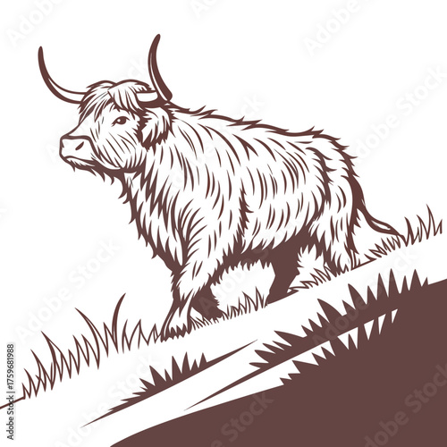 Highland cow illustration on a grassy hill