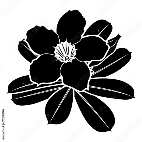 black and white silhouette vector icon of Adenium flower on white background