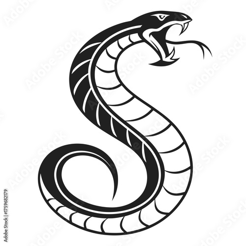 Aggressive black and white viper snake