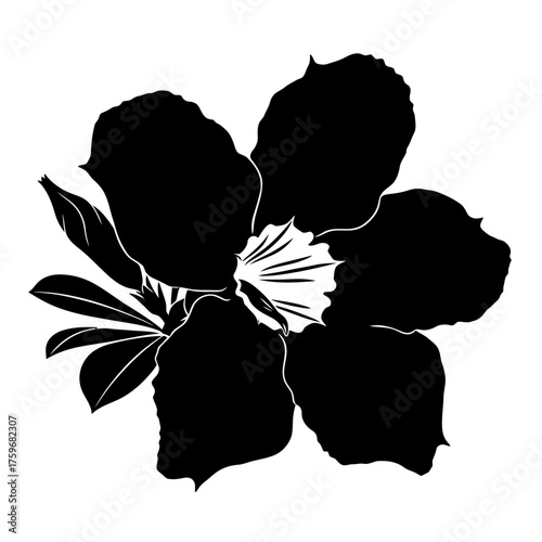 black and white silhouette vector icon of Adenium flower on white background
