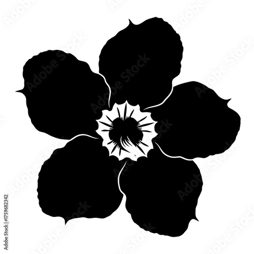 black and white silhouette vector icon of Adenium flower on white background