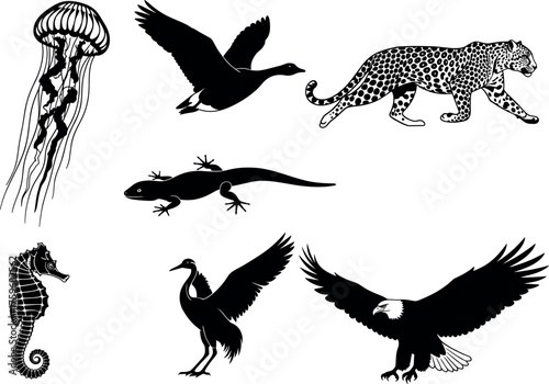 Silhouette set of wild and aquatic animals including eagle, jellyfish, leopard, goose, crane, lizard, and seahorse illustration