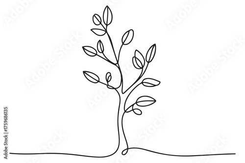 Continuous one line drawing of a young tree with branches and leaves, minimalist nature concept illustration
