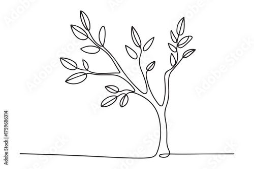 Continuous one line drawing of a young tree with branches and leaves, minimalist nature concept illustration
