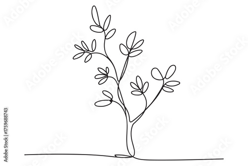 Continuous one line drawing of a young tree with branches and leaves, minimalist nature concept illustration
