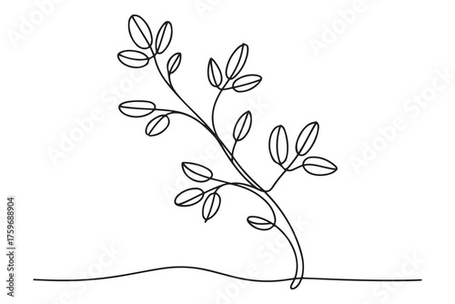 Continuous one line drawing of a young tree with branches and leaves, minimalist nature concept illustration
