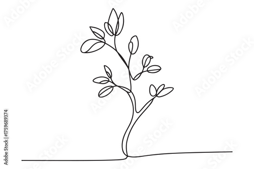 Continuous one line drawing of a young tree with branches and leaves, minimalist nature concept illustration
