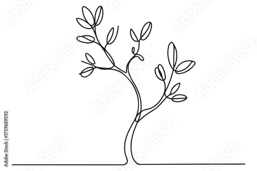 Continuous one line drawing of a young tree with branches and leaves, minimalist nature concept illustration

