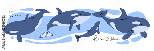Whale set Against background of blue water. Orca Whale Icon Set. Flat Vector Illustrations Isolated. Killer Whales with inscription. Wild animals of Arctic Circle. Mammal North animals