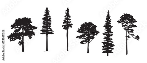 set of tree silhouettes in various shapes and types showing natural forest and landscape elements perfect for nature illustration botanical design and environmental vector art