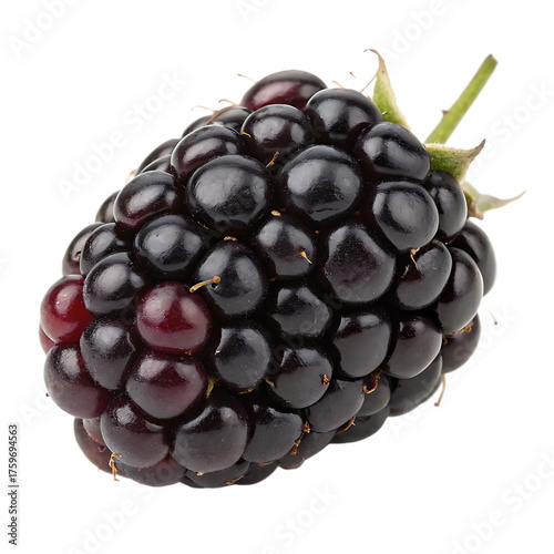 A whole indian blackberry isolated on a transparent background

