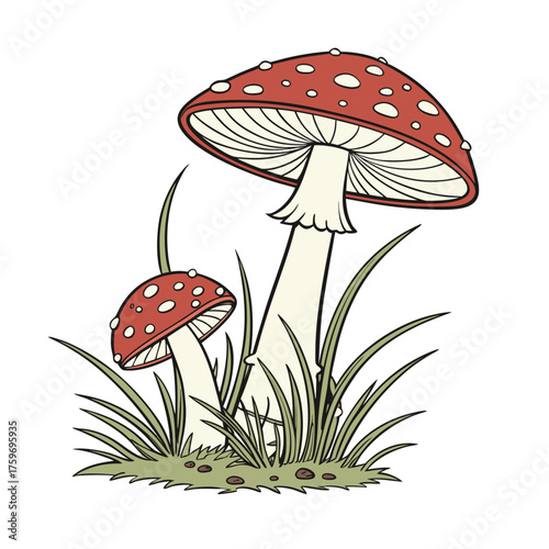 Colorful Mushroom Vector Set – Fly Agaric, Wild Forest, Cute Cartoon, Boho Silhouette, and Fantasy Glow Illustration