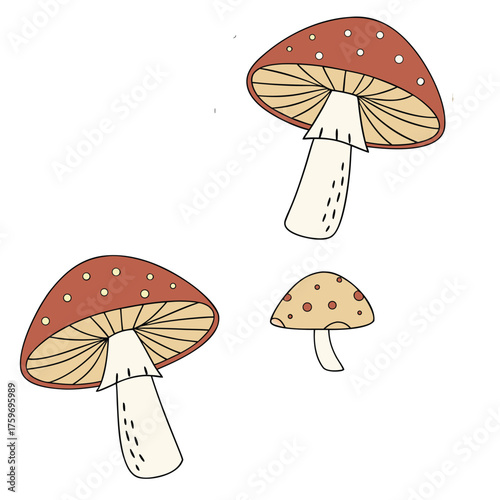 Colorful Mushroom Vector Set – Fly Agaric, Wild Forest, Cute Cartoon, Boho Silhouette, and Fantasy Glow Illustration