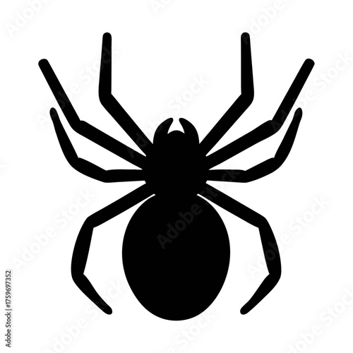Spider vector graphic black silhouette arachnid halloween creepy crawly insect design element clip art