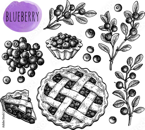 Blueberry set of ink sketches.
