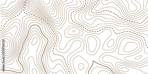 Abstract topo contour map on white background, Topographic map Topographic contour lines map seamless pattern.Geographic mountain relief. Abstract lines background. Contour maps.