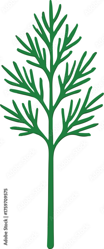 Obraz premium Green dill plant illustration herb food