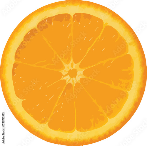 Orange slice with bright yellow rind and juicy pulp