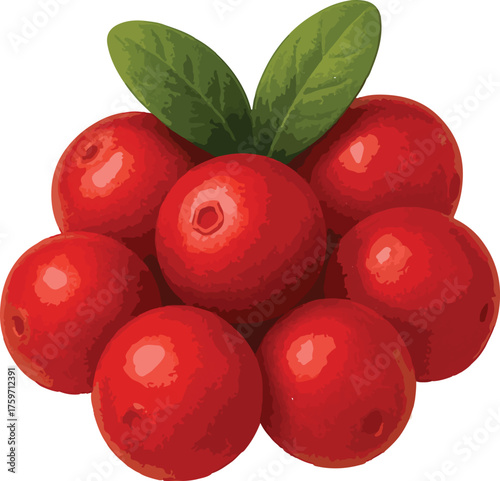 Red lingonberries with green leaves lingonberry cranberry