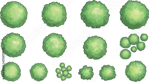 Aerial View of Green Trees and Bushes in Grid Pattern on White Background