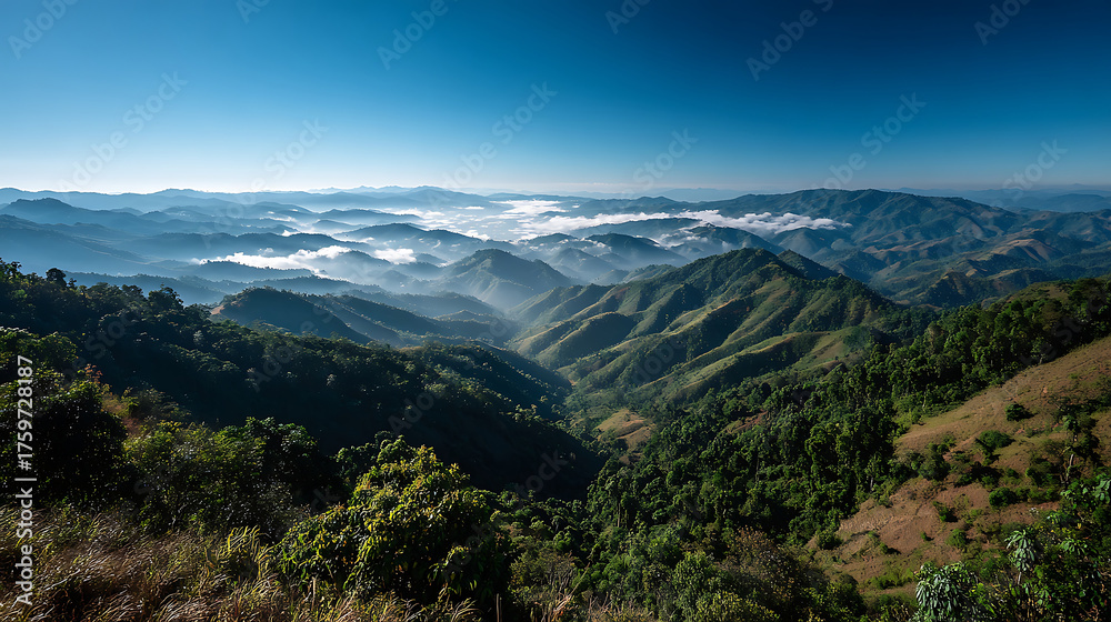 Obraz premium Cloud-covered mountain ranges in Mae Hong Son, Thailand, presenting a wild natural panorama background for various media.