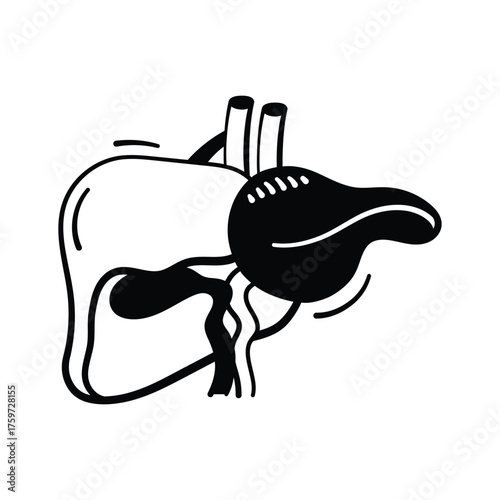 Hand drawn liver icon, human anatomy, liver health, and medical research.