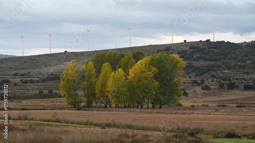 Serene Nature View with Trees, Wind Turbines, and Golden Sky