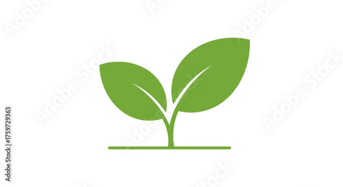 Simple illustration of two green leaves sprouting from a thin stem, isolated on white.