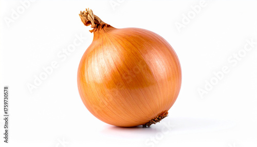Wallpaper Mural onion isolated on white background Torontodigital.ca