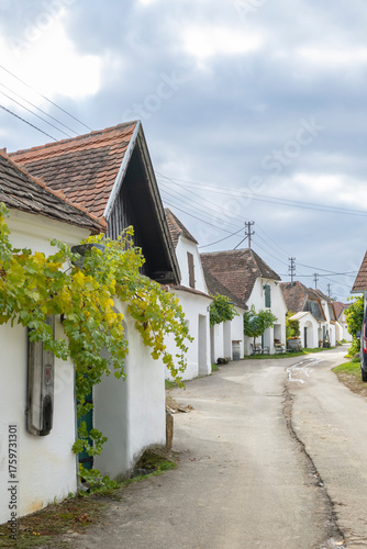 Quadro su tela Zellerndorf wine cellar lane showcasing traditional architecture