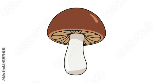 Illustration of a single brown mushroom with a white stem, isolated on a white background.