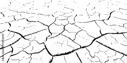 Cracked dry earth texture showing drought and arid landscape pattern. High-contrast black and white cracked soil background perfect for environmental, abstract, or texture design projects.