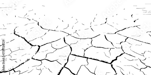 Cracked dry earth texture showing drought and arid landscape pattern. High-contrast black and white cracked soil background perfect for environmental, abstract, or texture design projects.