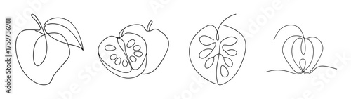Detailed sketch of four cherimoya fruits showing different views and cross-sections for natural food design