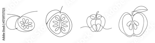 Line art drawings of custard apple fruit showing interior seeds and sections for nutritional or culinary use