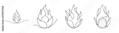 Hand drawn sketch of a dragon fruit slice progression showing seed detail and texture