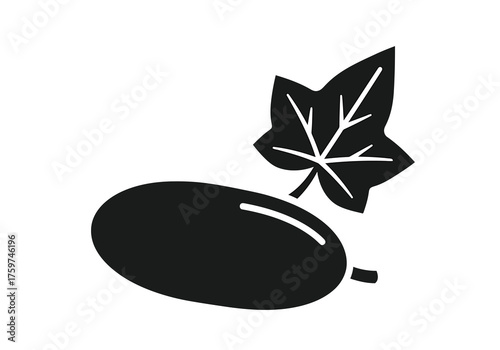 Simple Black and White Silhouette of a Fresh Zucchini Vegetable Illustration