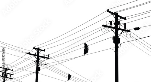 Silhouette of utility poles, power lines with perched birds, electricity grid, urban infrastructure, energy distribution, wildlife interaction, minimalist black illustration, perspective depth