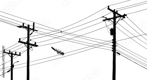 Silhouette of utility poles, power lines with feather, electricity grid, urban infrastructure, energy distribution, surreal concept, nature contrast, black illustration
