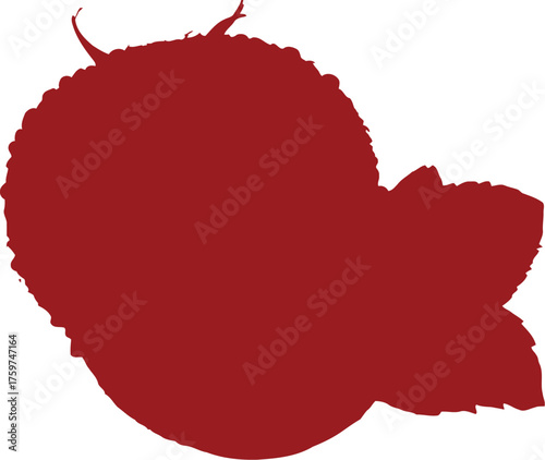 Whole red tomato with water droplets and slice next to green mint leaves on black vector