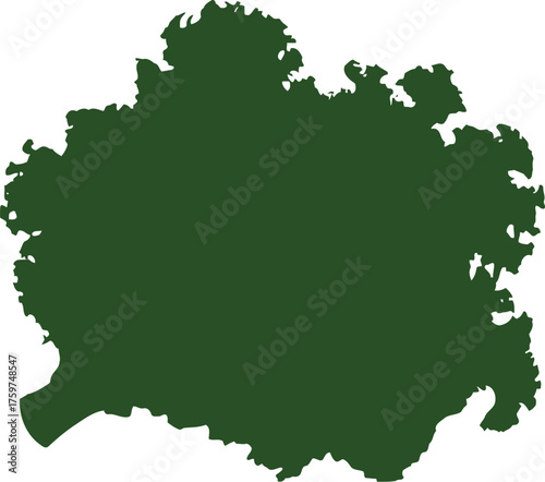 Fresh green curly kale bunch isolated on black background leaf vegetable