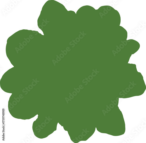 Fresh green lettuce leaves isolated on black background showing healthy plant food details