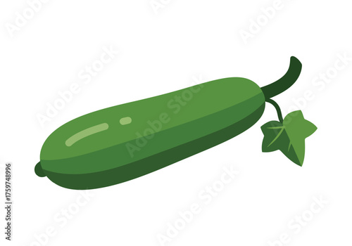 Flat Lay Fresh Zucchini Healthy Eating Simple Ingredient Vegetable Illustration